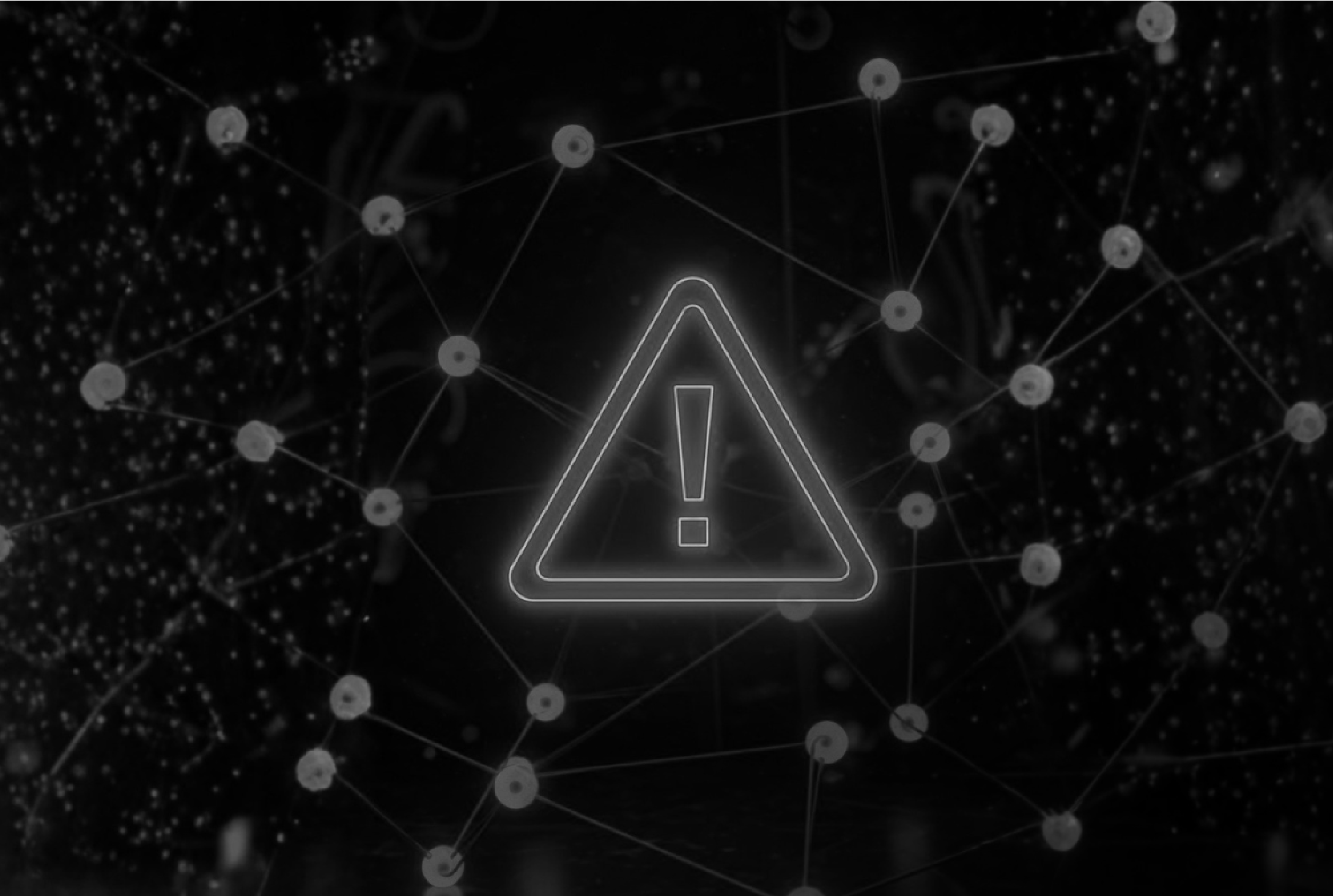 Attempted scam using the name of Dr. Ricardo Petereit